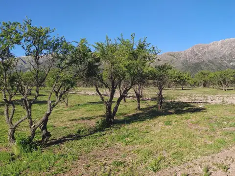 Terreno en Venta, FOS 20