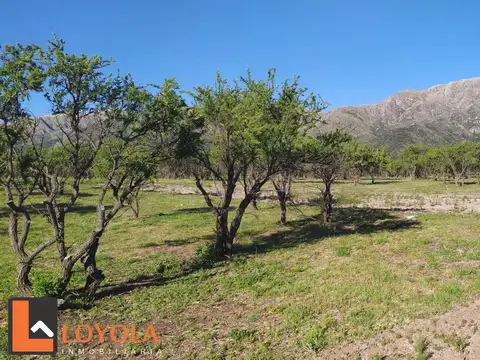 Terreno en Venta, FOT 30