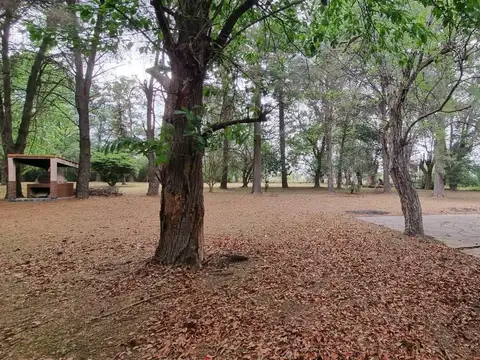 La Lonja, La pampa 100