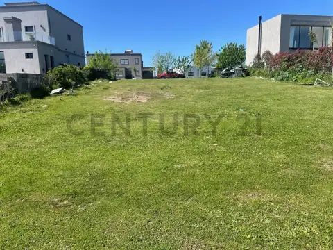 Tulipan 3900, Piso 0