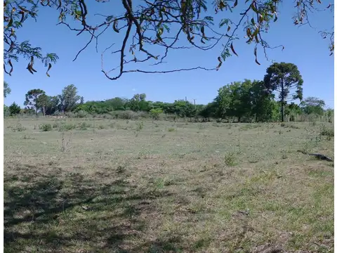 Fracciones de campos, Plomer (Bs.As). L30014