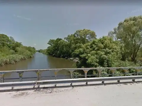 Palo blanco. Entre 32 y Río santiago
