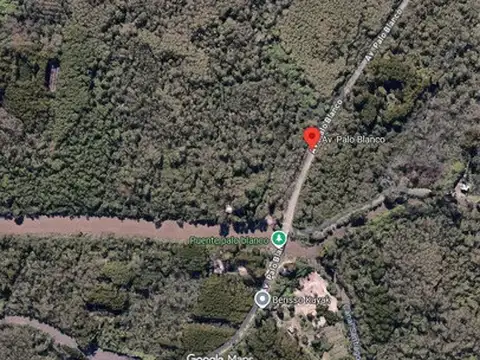 Palo blanco. Entre 32 y Río santiago