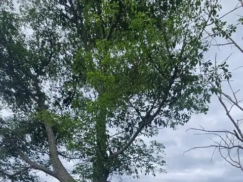 VENTA TERRENO EN TIERRA DE SUEÑOS 2 ROLDAN