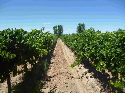 Terreno en Venta de 145000,0 m2