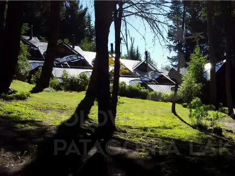 Los pinos al 100