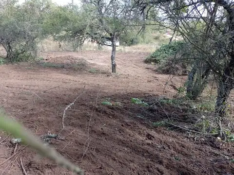 TERRENO VILLA PARQUE SIQUIMAN SAN ROQUE