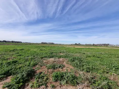 Terreno en Venta en Bella Vista, USD 110.000