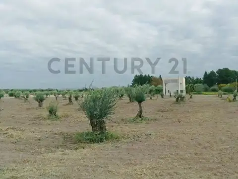 Century 21 Lucio Barroso  Ofrece a la venta en Barrio Privado Olivares de San Roque.