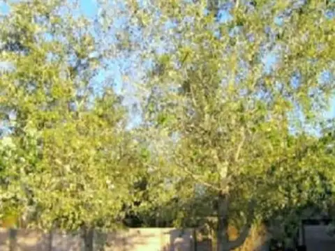 Lote Central Barrio El Portal de Pilar