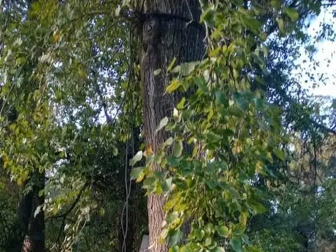 Terreno  en Venta ubicado en Pilar,  G.B.A. Zona Norte