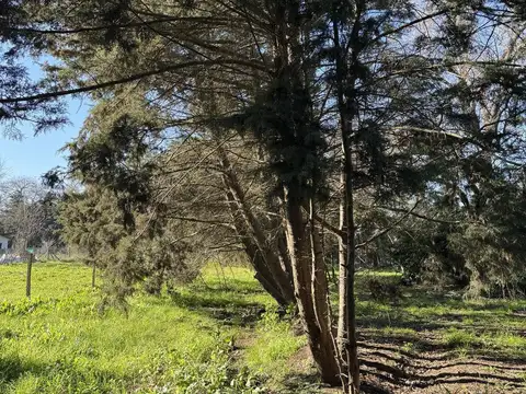 506 e 216 y 221