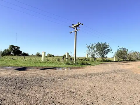 Terreno en Venta en Alvear, USD 12.420