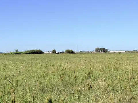 Terreno en Venta de 250,0 m2