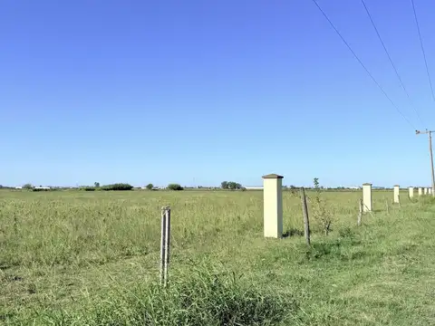 Terreno en Venta 25  mts Fondo