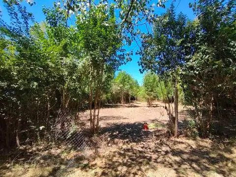 Terreno en Venta de 780,0 m2