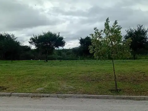 SE VENDE LOTE 100% CANCELADO EN TEJAS 4
