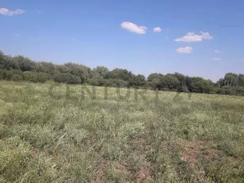 CHACRA 15has - Paso Viejo con riego y escritura