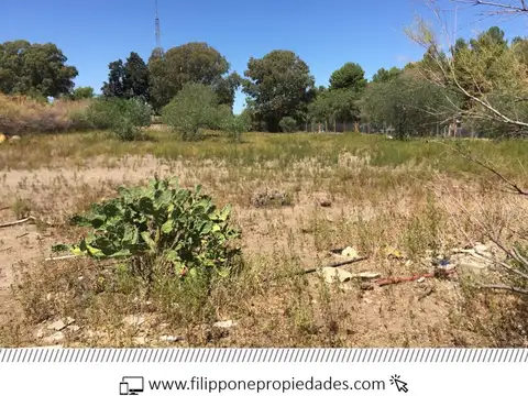 Terreno en Venta 10  mts Frente