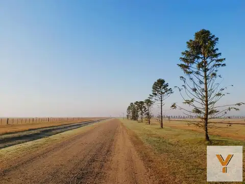 Terreno en venta - 20690Mts2 - Cañuelas