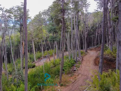 Terreno en Venta de 4300,0 m2