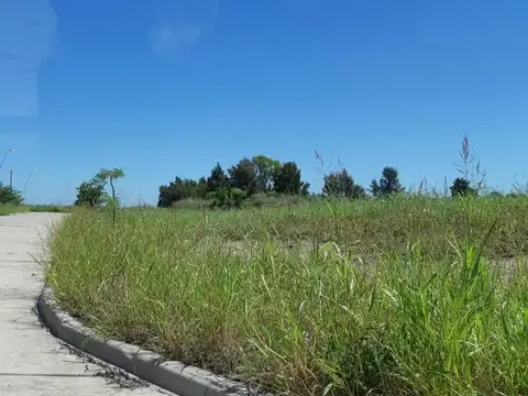 Terreno en Venta 10  mts Frente