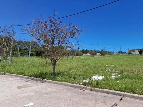 Terreno en Venta de 300,0 m2