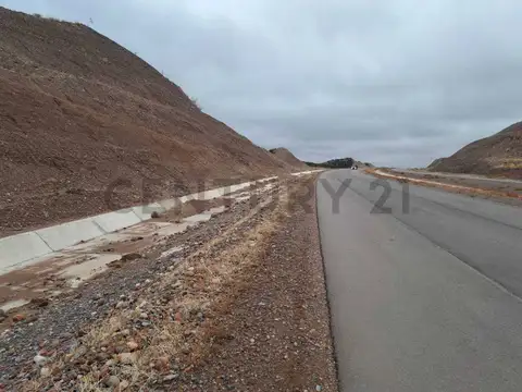 TERRENO EN VARIANTE PALMIRA RUTA NACIONAL 7,(  LUJAN DE CUYO, MENDOZA).