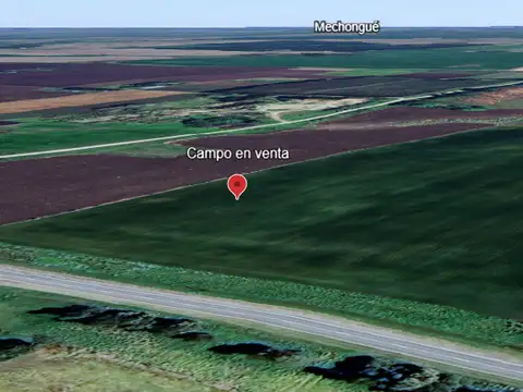 ruta 88