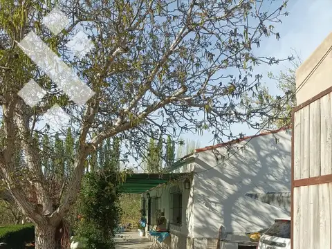 Venta 4.8 Hectáreas con CASA - Cipolletti - Rio Negro
