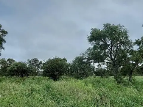 Campo en venta - 12.000.000Mts2 - Santiago del Estero