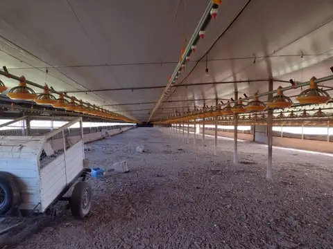 Ruta 38 Carmen de Areco