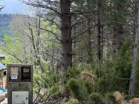 FINA PATAGONIA. Lote en venta de 1274m2 ubicado en San Martin de los Andes