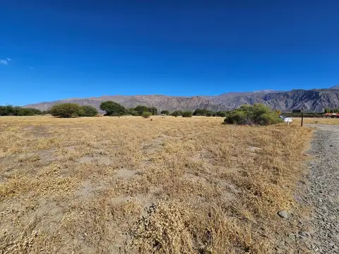 Terreno en Venta en Cafayate, USD 155.000