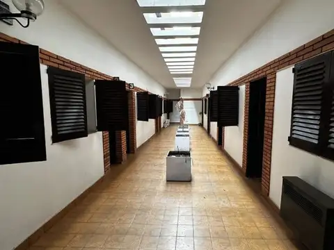 CABILDO 300