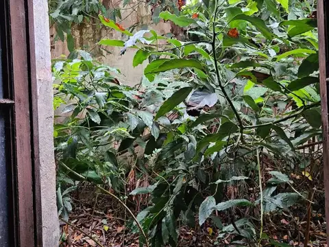Terreno en Venta 8  mts Frente