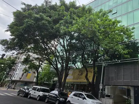 Dorrego al 2000