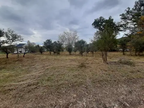 Terreno en Venta 40  mts Fondo