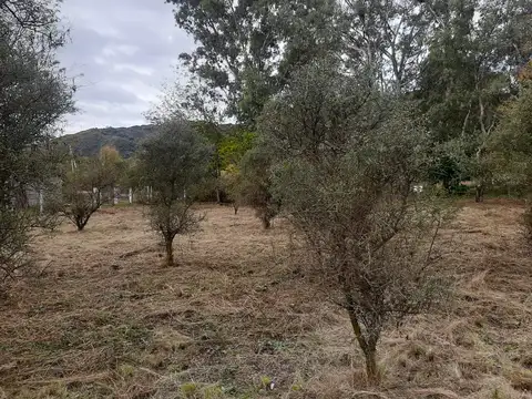 Lote a la venta en Comuna de San Roque. (L154)