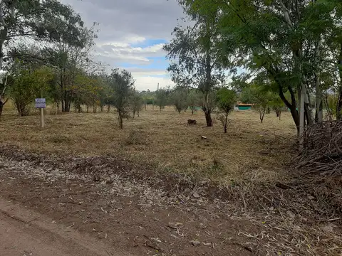 El Mirador 100