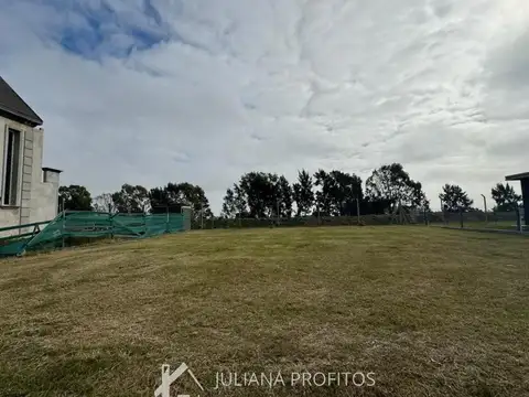 Magallanes Lote / N° 111