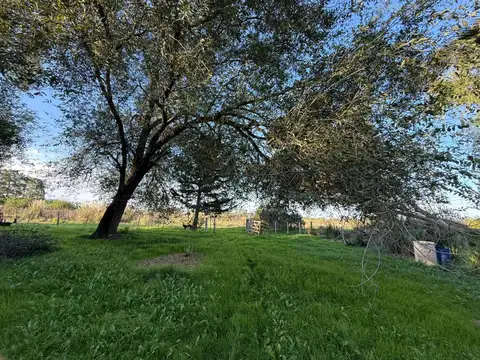 Quinta en Venta en Lobos, USD 110.000
