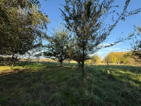 Quinta en Venta en Lobos, USD 110.000