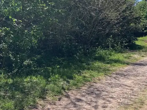 OLIVEROS- LOTE-VILLA LA RIBERA -AV.VILLA LA RIBERA  MTS