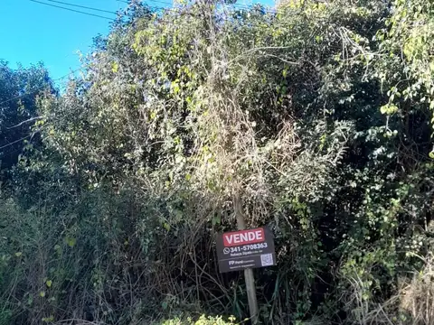 OLIVEROS- LOTE-AVENIDA LA RIBERA  N°  MTS