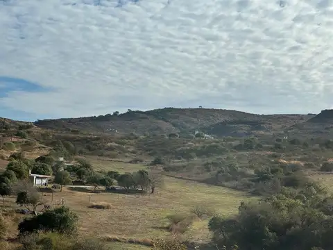 Terreno en Venta de 10000,0 m2