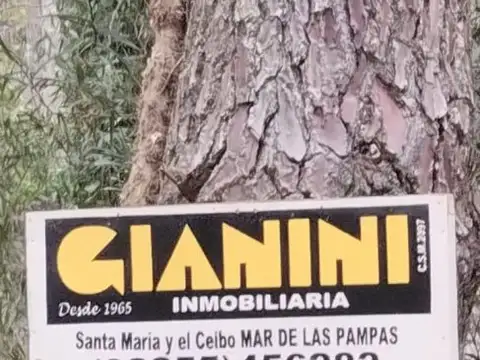 Campo - Venta - Argentina, Villa Gesell - Ruta 11 Km 413 413