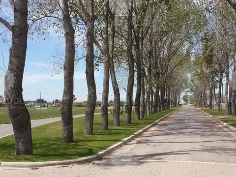 Terreno en Venta en La Alameda, USD 51.000