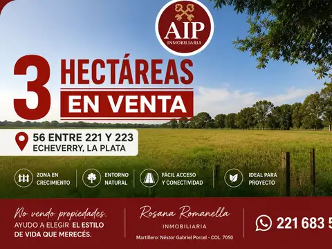 56 entre 221 y 223 Echeverrí La Plata