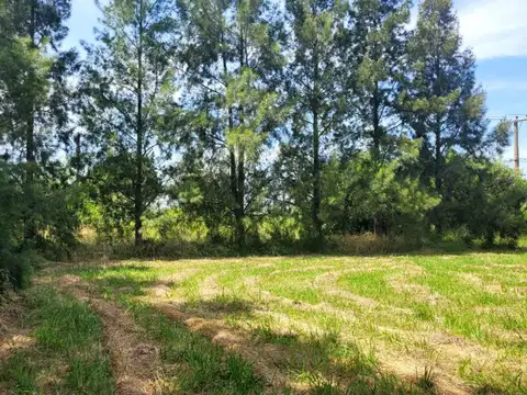 Quinta en Venta en Lisandro Olmos Etcheverry, USD 150.000